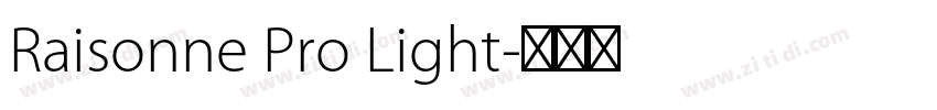 Raisonne Pro Light字体转换